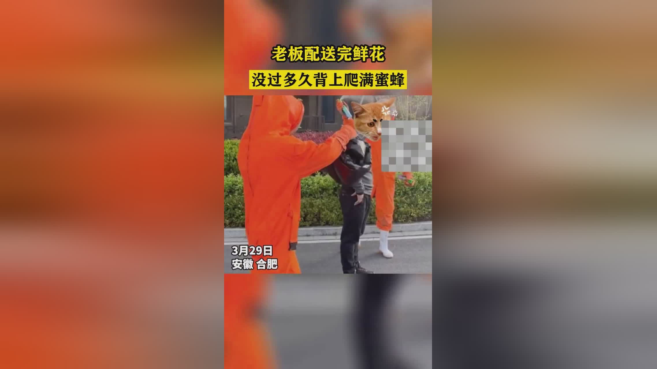 终解_用这样一段话回答完我的学生，没过多久就开始出国深造