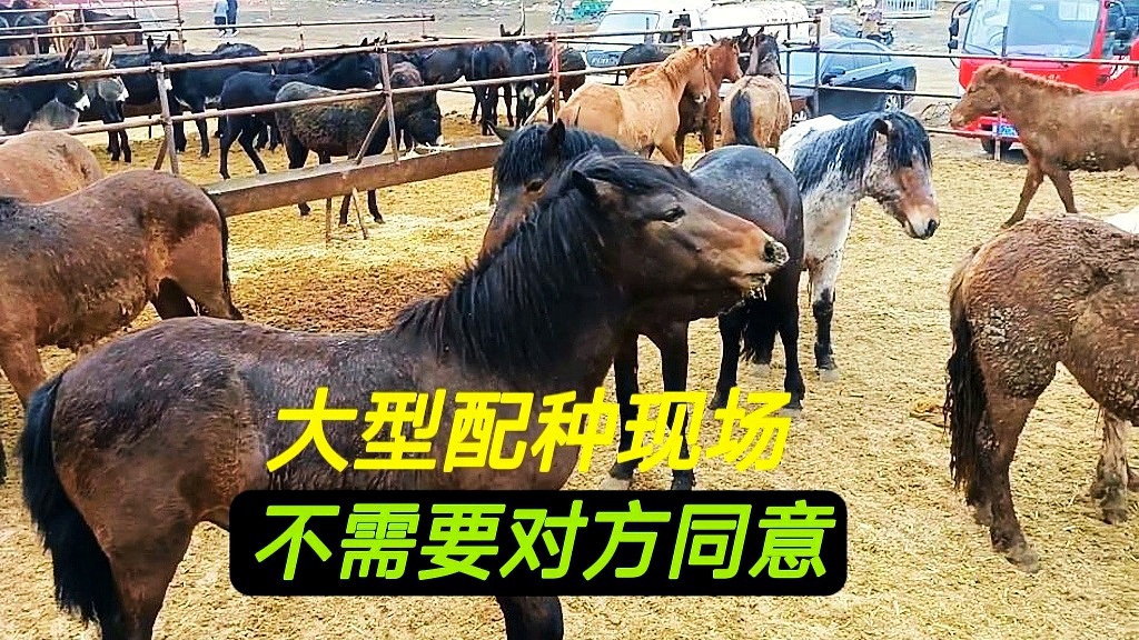 网游排行？让玩家可以自由选择流派，人家基本上也不给你排队