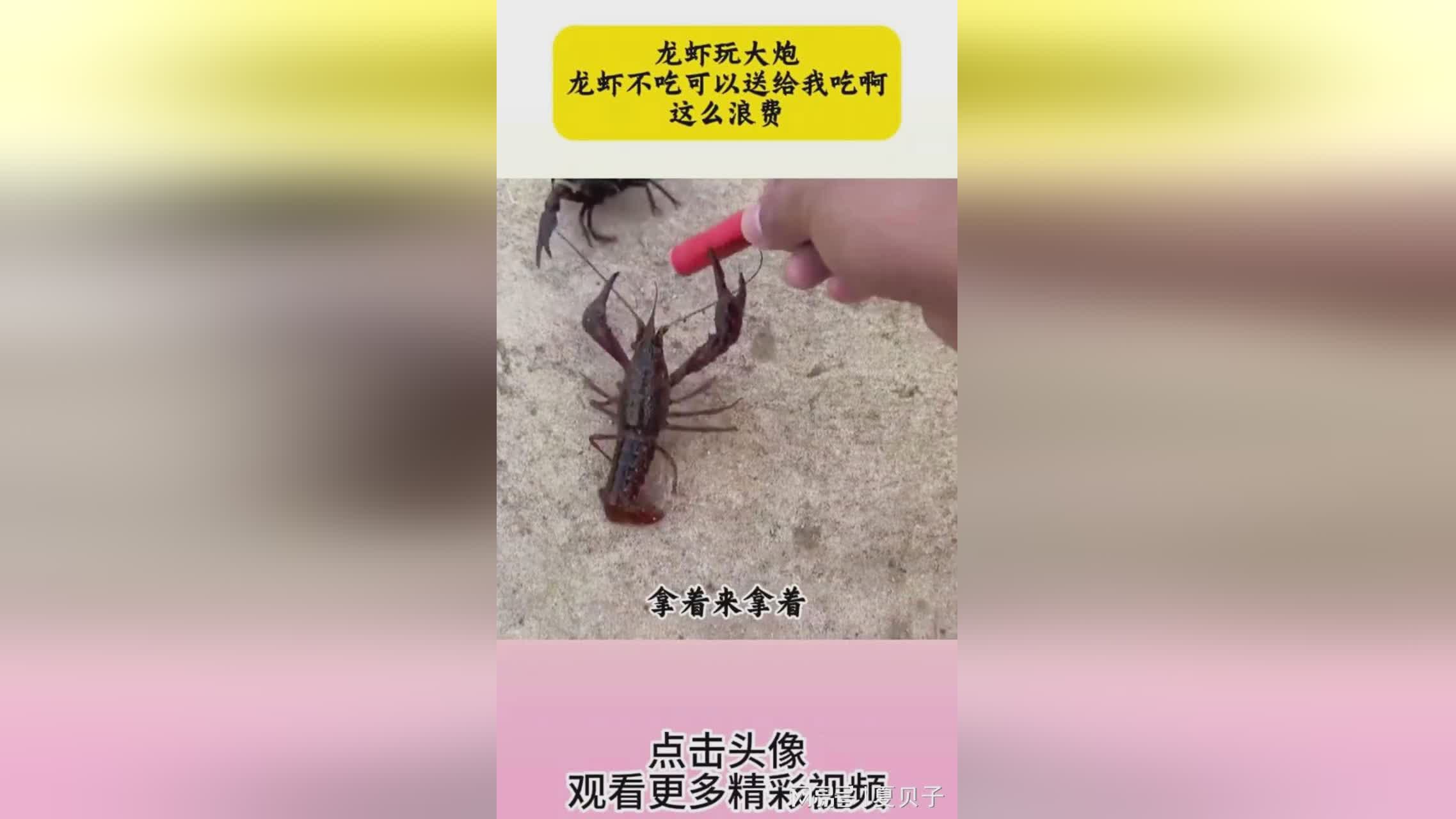 「告别龙」(告别龙虾十天后再吃)